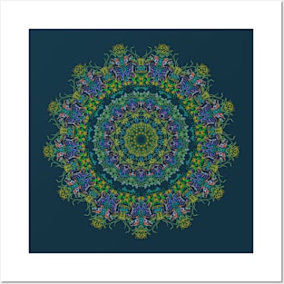 Wood Duck Kaleidoscope Posters and Art